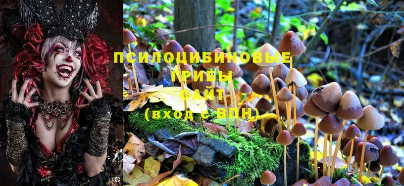 Галлюциногенные грибы Magic Shrooms  Берёзовка 